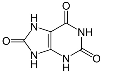 Uric Acid Type