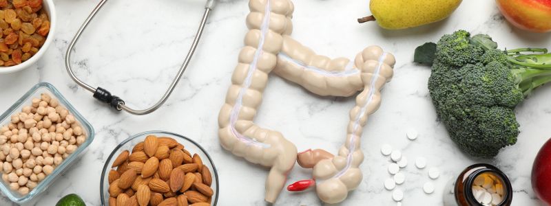 Diatrofi Gia Kalo Mikrobioma Ti Na Trws Ti Na Min Trws Diaitologos