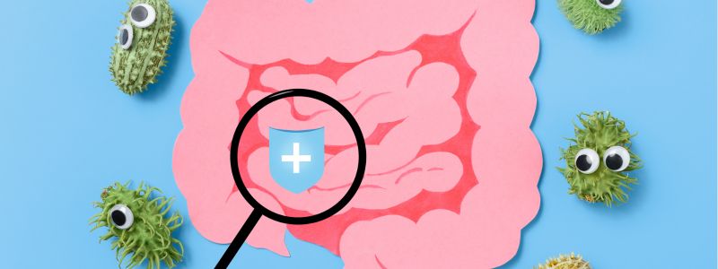 Mikrobioma Ofeli Stin Ygeia Kalo Mikrobioma Diaitologos Papachristos