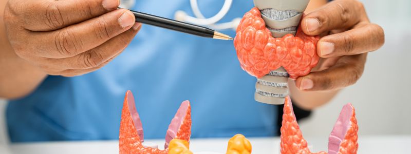 Yperthyroidismos Simptomata Pws Ginetai Diagnosi Papachristos Diaitologos