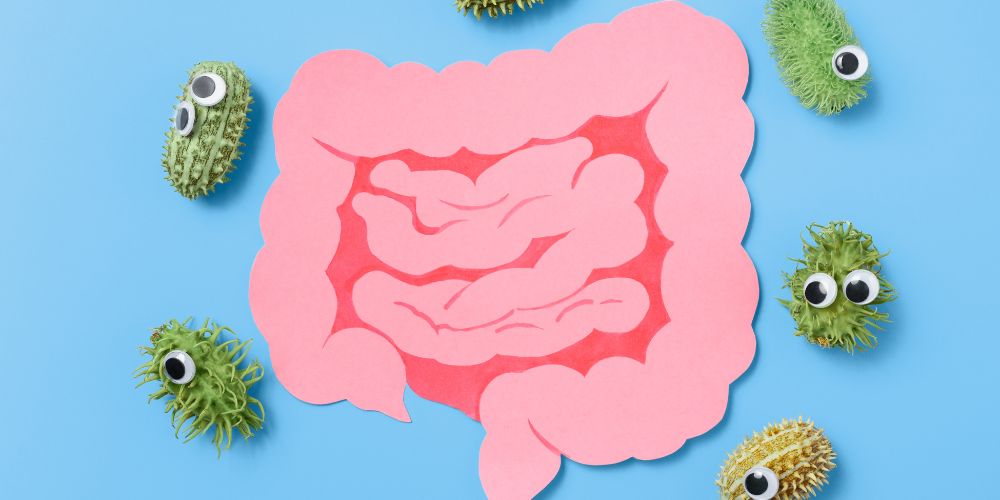 Enteriko Mikrovioma Diatrofi Papachristos Diaitologos