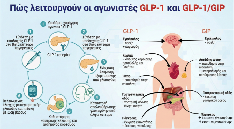 Michanismos Drasis Enesimon Farmakwn Glp 1 Gip (2)