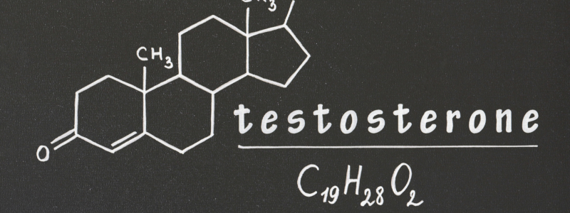Testosteroni Kai Diatrofi Odigos Auksisi Fysika Diaitologos[1]